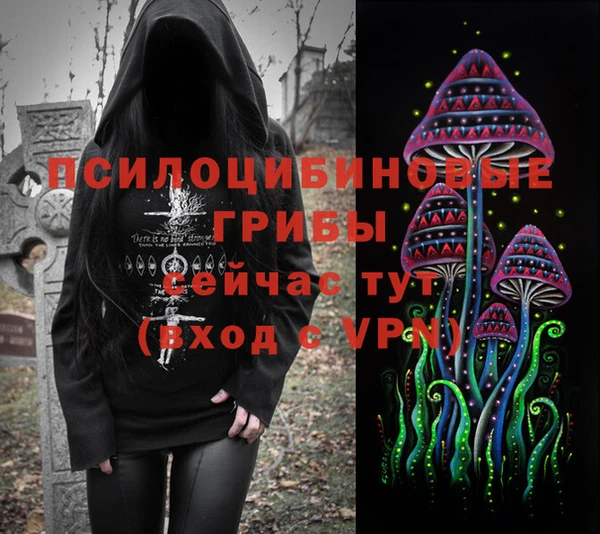 2c-b Абаза