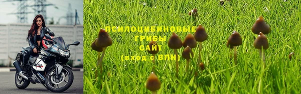 гидропоника Абдулино
