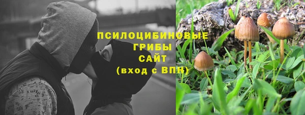 гидропоника Абдулино