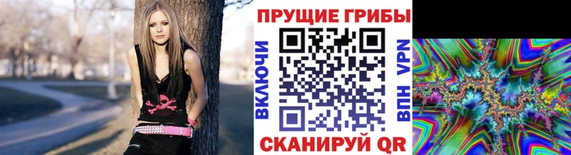 Псилоцибиновые грибы мухоморы  Власиха 